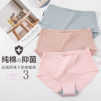 Womens cotton large size underwear womens high waist fat mm200 kg mother underwear middle-aged and elderly cotton breifs women