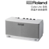 Roland Roland CUBE-Lite cubelite loa điện guitar di động guitar acoustic ballad hộp piano - Loa loa loa kéo điện Loa loa