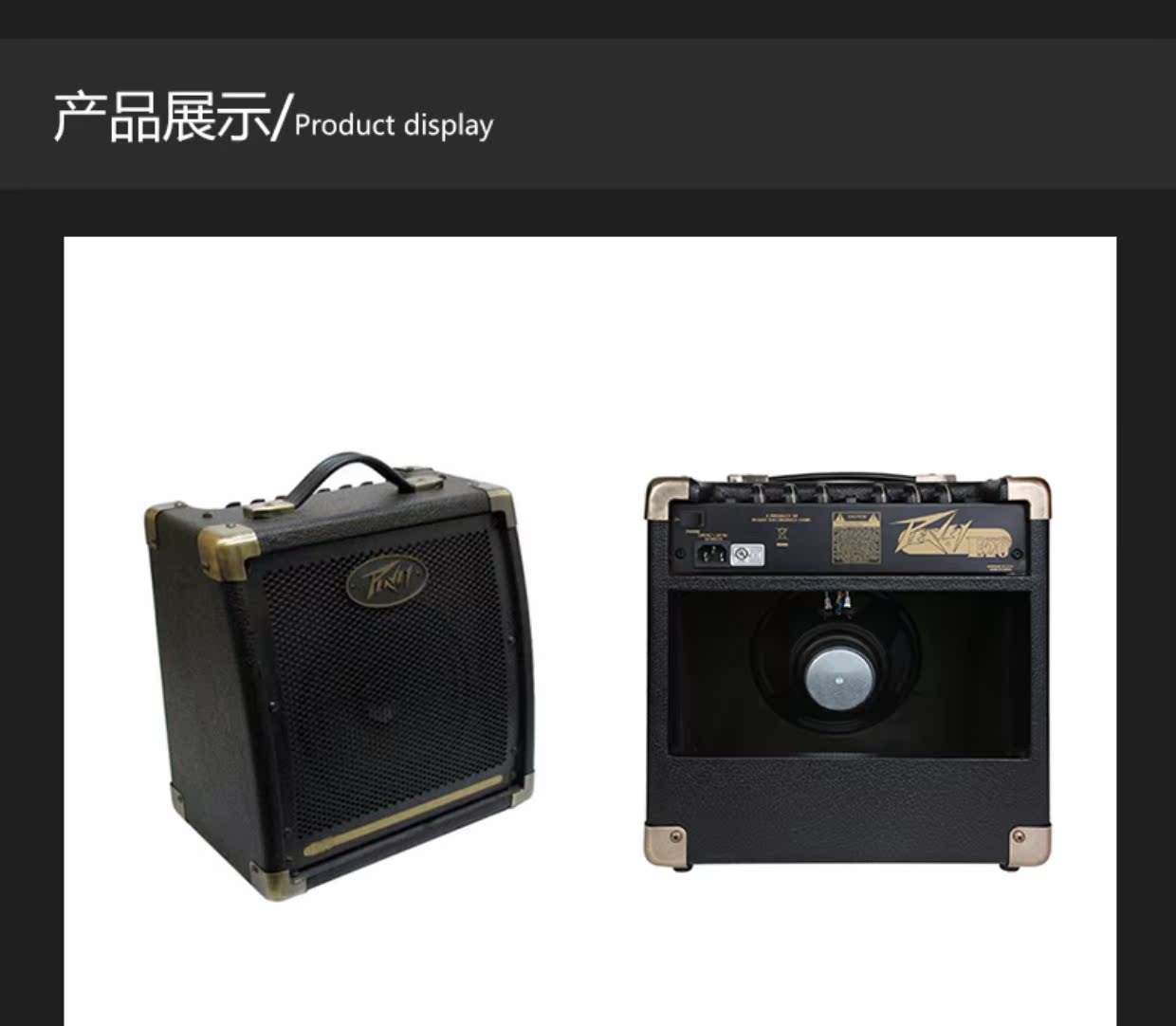 Loa PEAVEY Bộ khuếch đại guitar acoustic ECOUSTIC E20 - Loa loa loa homepod