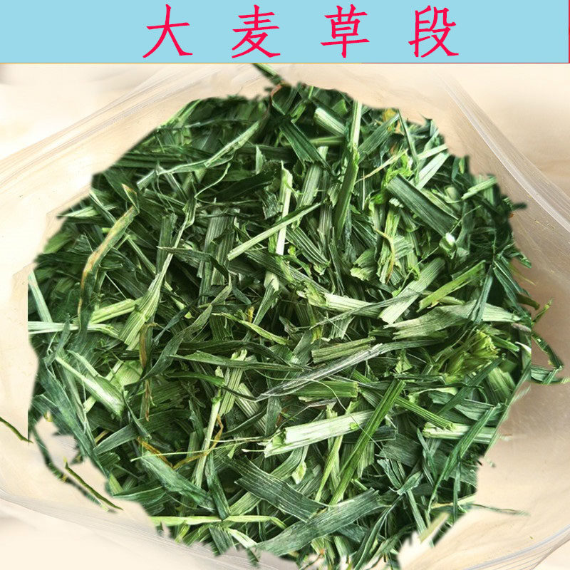  Large Wheat Grass Section 500g Dutch Pig Rabbit Dragon Cat Guinea Pig Dried Grass Pasta Pet Snack Feed