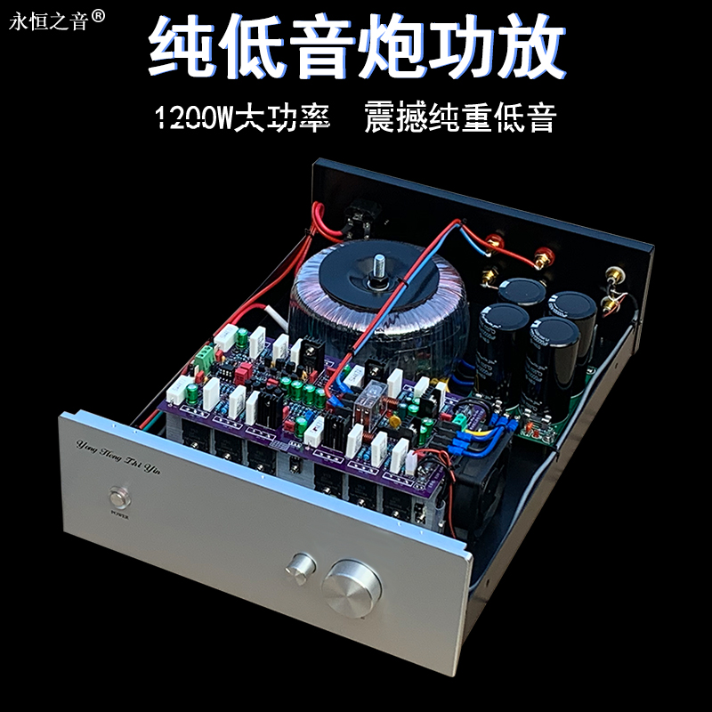 Eternal voice factory direct selling original fever-grade hifi high-power subwoofer 2 0 power amplifier