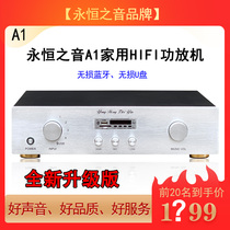 Eternal Voice A1 upgraded version hifi sound high-power power amplifier supports non-destructive U disk Bluetooth playback