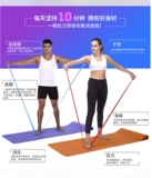 Натуральное латексное реабилитационное тренировка тренировочная устойчивость к глютеновой йоге.