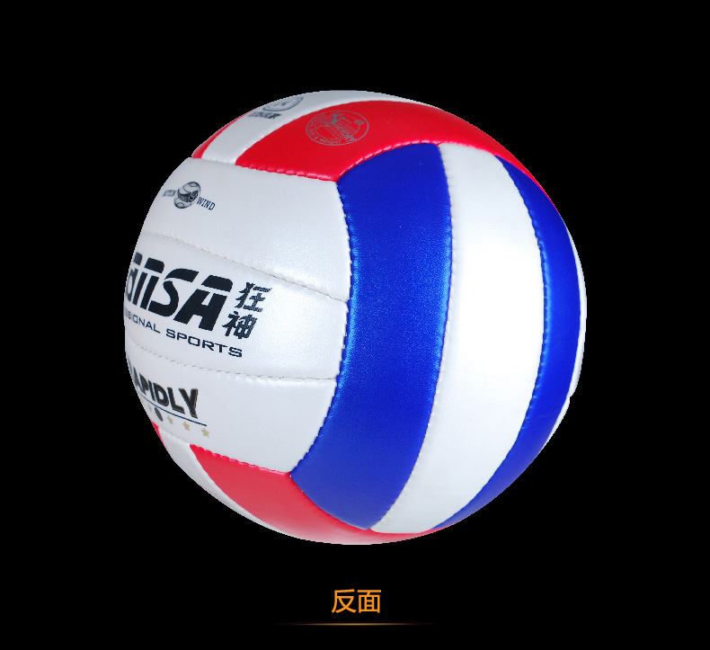Ballon de volley - Ref 2009917 Image 23