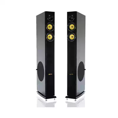 BNTN Wanma galloping New York speaker Home theater passive wooden floor-to-ceiling main speaker 2 side bass