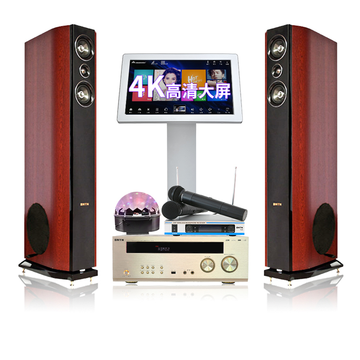 BNTN Wanma galloping home theater KTV audio set Home karaoke jukebox 58 with upstart master box