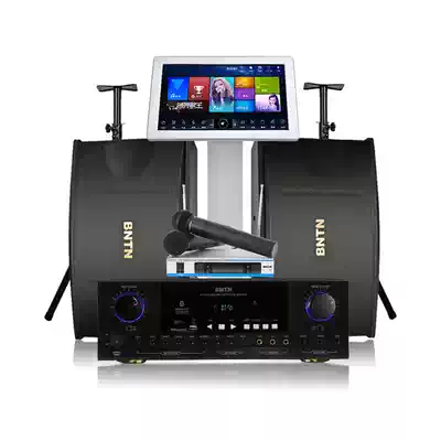 BNTN Wanma galloping 8200 power amplifier with 450 home KTV audio jukebox wireless microphone lantern set
