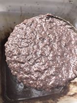 Wenzhou specialty-Yueqing Wengyang Xuewanalao shrimp sauce shrimp meat 275g old craft fresh fragrant rice