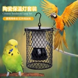 Pet Sinian Parrot Bird Bird Cage Pet Antiscalded Heater Everater Ceramic Birds Products