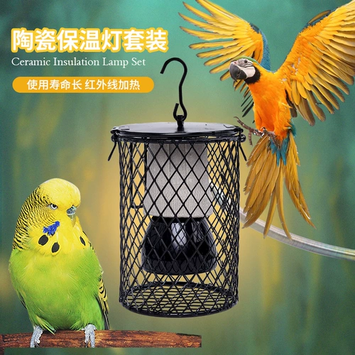 Pet Sinian Parrot Bird Bird Cage Pet Antiscalded Heater Everater Ceramic Birds Products