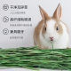 Pet Shangtian 2023 Timothy grass guinea pig feed chinchilla rabbit food hay rabbit pasture guinea pig supplies 1LB