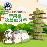 Домашние животные Шангтинские кролики голландская свиная тотото