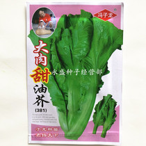 Big meat sweet oil mustard seeds big meat mustard seed big meat mustard seed big mustard seed Pickles vegetable seeds 12g