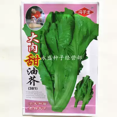 Big meat sweet oil mustard seeds big meat mustard seed big meat mustard seed big mustard seed Pickles vegetable seeds 12g