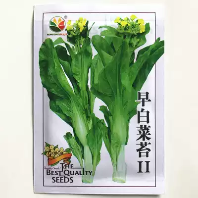 Son of the Farmer Early cabbage Bolting No 2 seed Cabbage Bolting No 2 cabbage heart seed Winter cabbage bolting vegetable seeds
