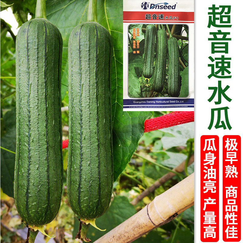 Big meat sweet loofah seeds high-yield supersonic water melon seeds oily four seasons disease-resistant field with vegetable seeds