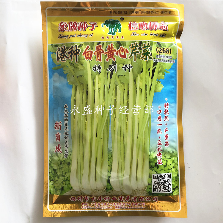 Elephant Seed Harbor Breed White Bones Yellow Heart Celery Seeds 268 resistant to heat and high yield growth Fast 150g