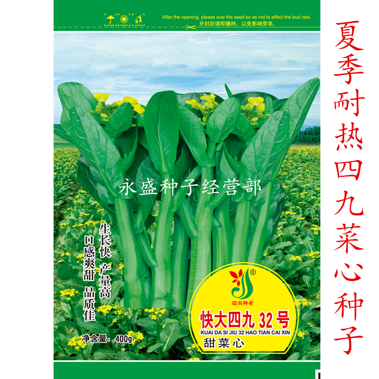 Building South Seed Industry Fast Big 49 32 Number of Vegetable Hearts Seeds Yellow Leaf White Stalk 49 Beetroot Seed Heat Resistant Rain