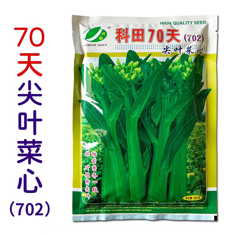 Vegetable Heart Seed Koda 70 Days 702 Sharp Leaf Oil Green Vegetable Heart Seed Vegetable Seed Rape Seed Rape Seed Neatly