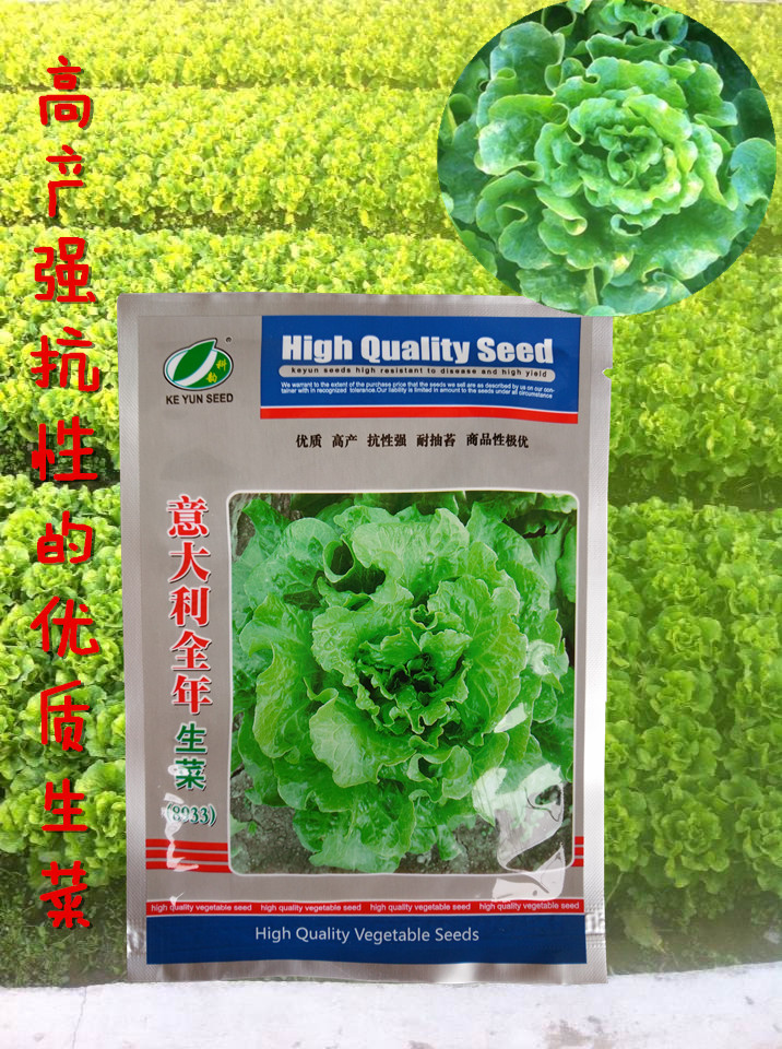 Italian Year-round Raw Vegetable Seed 8933 Anti-Heat Productive Resistant to Sow Vegetable Seed 25g