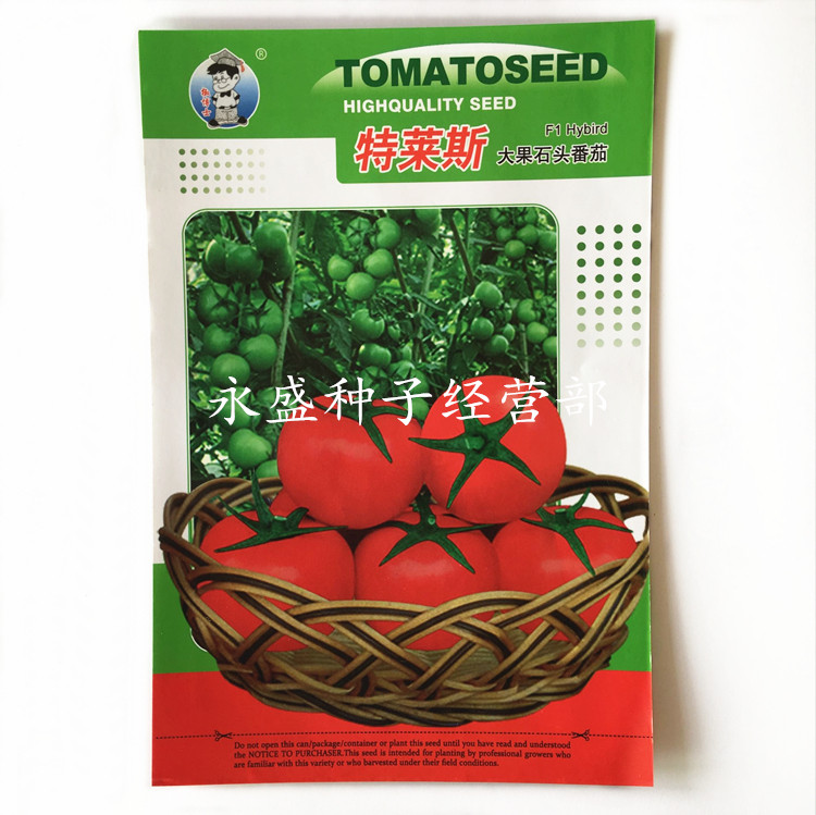 Teles big fruit stone tomato seeds Hybrid tomato seeds High yield and strong disease resistance vegetable seeds