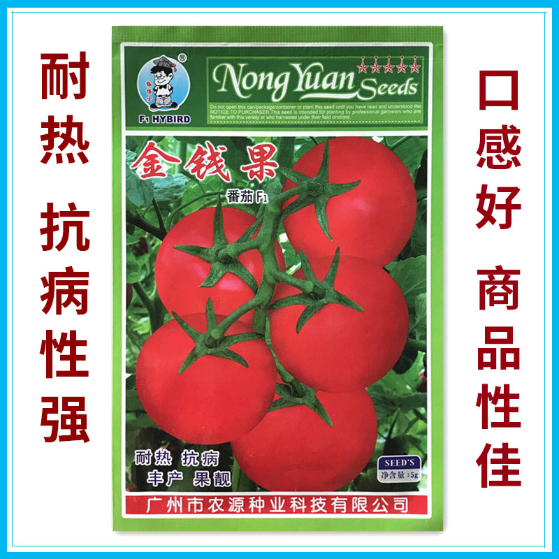 Cash tomato seed heat resistance and disease resistance to imported tomato seed high quality variety of hard fruit