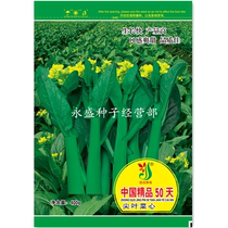 Jiannan Seed Industry Chinas boutique 50-day tip-leaf cabbage seed sharp leaf oil green beet heart seed seed high yield resistance