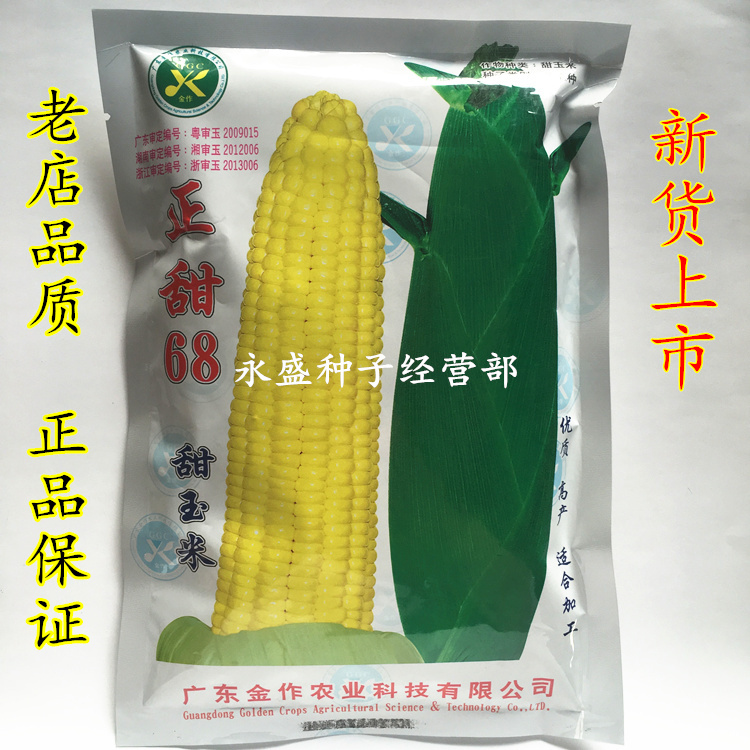 Positive sweet 68 ultra-sweet fruit corn seed high-yield disease resistance sweet corn seed Guangdong Academy of Agricultural Sciences 250 gr