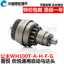 Scooter WH100T-A-H-F-G Little Princess 100 Joy Delight Motor Head Start Motor Motor lid copper