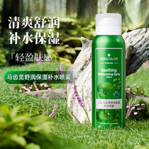 Zhengcai Purslane Soothing and Moisturizing Spray Refreshing Soothing Moisturizing and Delicate Makeup Setting and Hydrating Spray