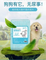 Pet dog diapers S size 100 teddy absorbent pads diapers cat diapers thickened deodorant hygiene products