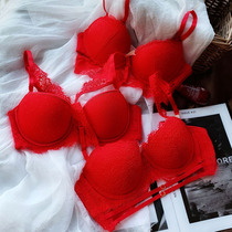 Zhengred wedding year underwear European and American luxury hollow sexy lace with steel ring deep V bra gathering