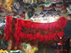 Super Value Popular Foshan Lion Head Traditional Lion Dance Costume Lion Skirt Lion Batch Lion Dance Supplies Performance Props