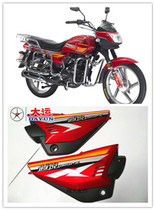  Original Dayun motorcycle accessories DY150-3L Xiaoyue left and right plastic shell view side battery cover