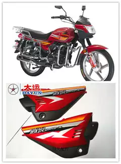 Original Dayun motorcycle accessories DY150-3L Xiaoyue left and right plastic shell view side battery cover