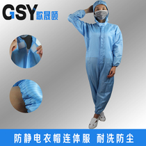 Zhongshan Anti - static suit customized clothing anti - static clothing protective clothing clean clothes