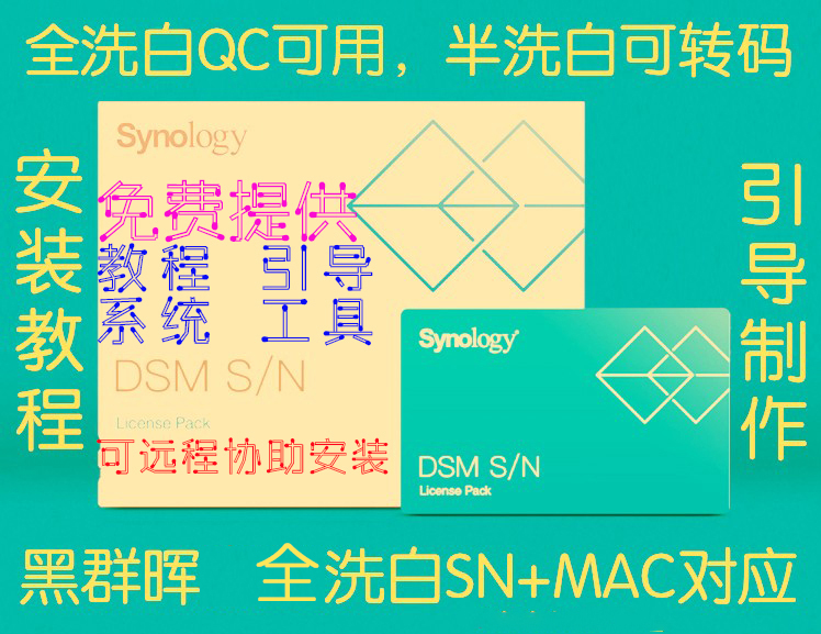 NAS Hei Qunhui 6 2 DS3615 DS3617 DS918 full half white serial number EXSI PVE