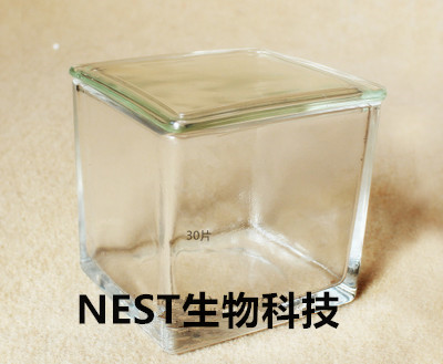 高品质玻璃染色缸 5/9/10/26/30片装载玻片玻璃染色架 立式 卧式