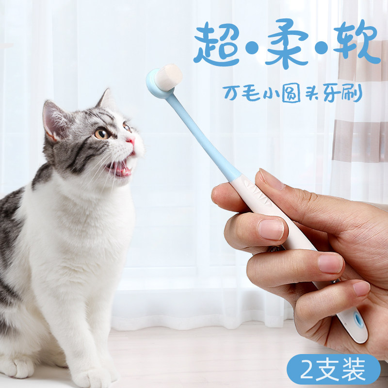 Cat toothbrush cat toothbrush dog toothbrush pet in addition to bad breath teeth cleaning supplies teddy bear brushing teeth