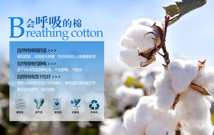 Slip jeunesse A33158 en coton - Ref 642347 Image 44