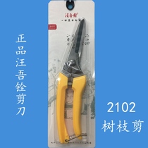 Straighteing shears pruning knives grape scissors Wang Wuquan stainless steel horticultural scissors 2102