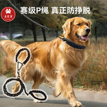 Big dog outdoor leash P collar explosion-proof husky border collie Sammo golden retriever Labrador Alaska