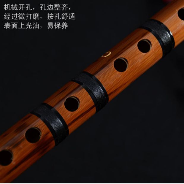 Đắng sáo tre cụ độc quyền người mới bắt đầu sáo sáo sáo c t d e điều chỉnh f t g sinh viên - Nhạc cụ dân tộc sáo mèo