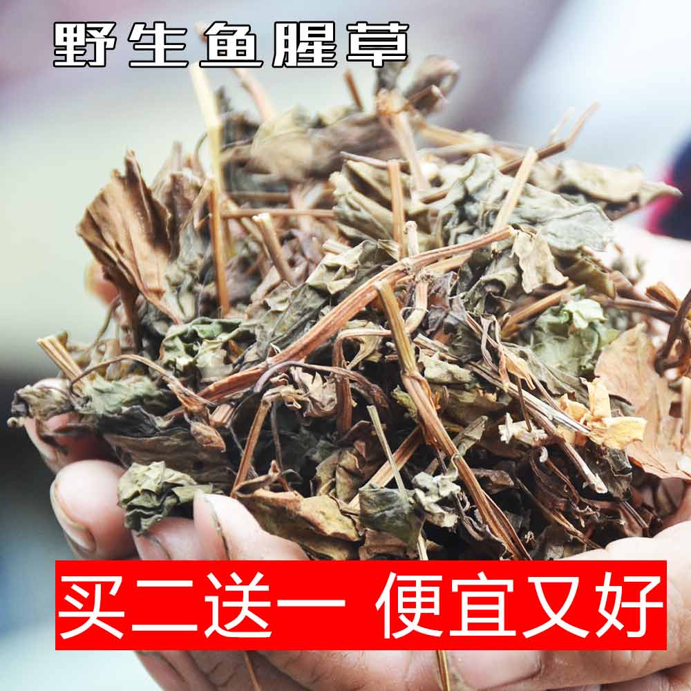 Houttuynia cordata Sinyang wild houttuynia cordata week new goods houttuynia fold ear root Houttuynia cordata tea wild houttuynia cordata