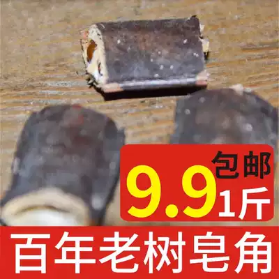 Gleditsia sinensis Lam new wild Gleditsia sinensis Lam segment staple da zao jiao free hit wild Gleditsia sinensis Lam zao jiao mi of Gleditsia sinensis Lam