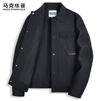 Черно-пружинный модель