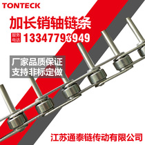 Stainless steel extended pin chain conveyor transmission Extended pin chain custom