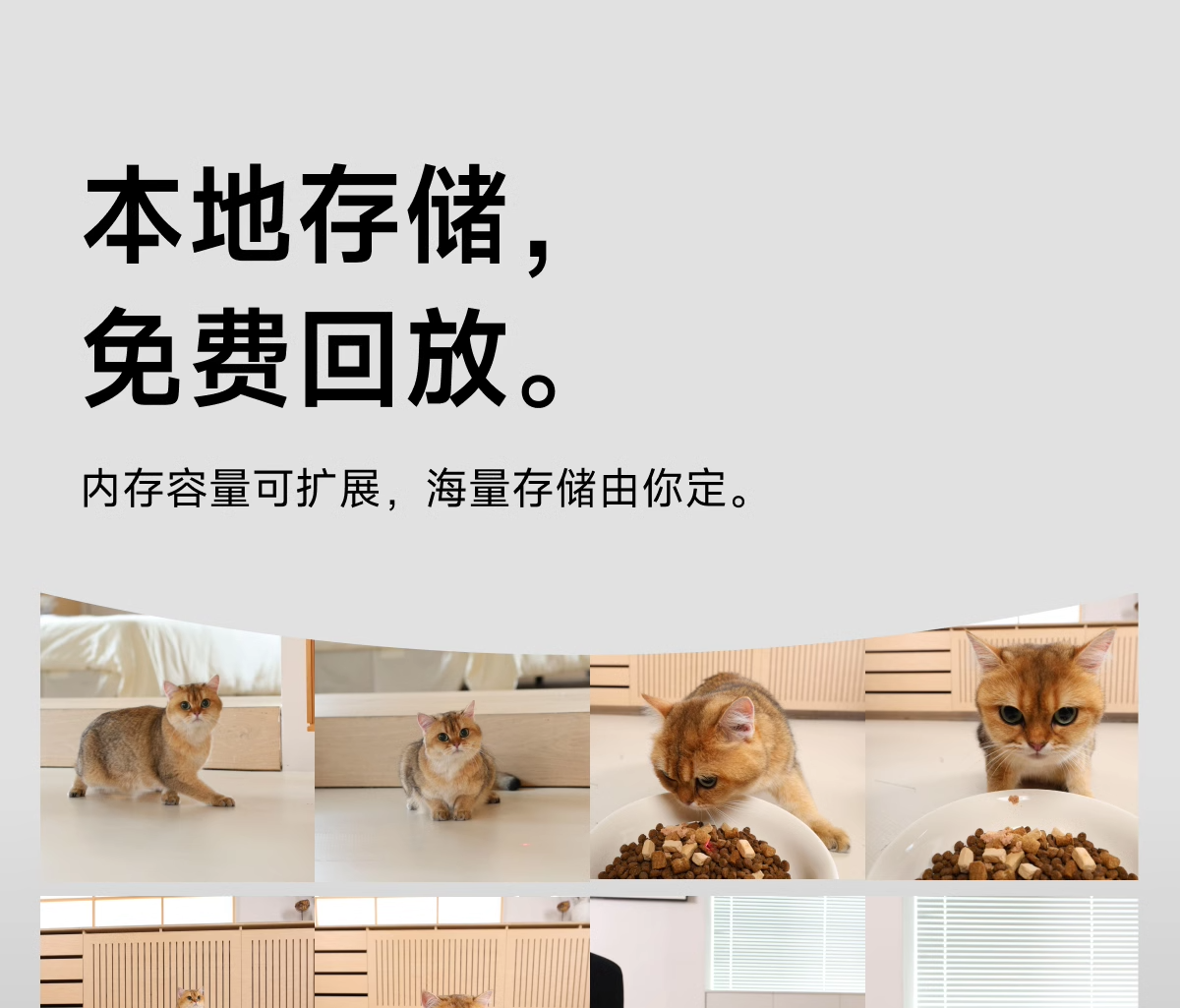 Кормушка с дозатором для кошек и собак meoof觅凹蛋卷自动喂食器猫咪狗狗定时定量自助喂食器摄像头可视