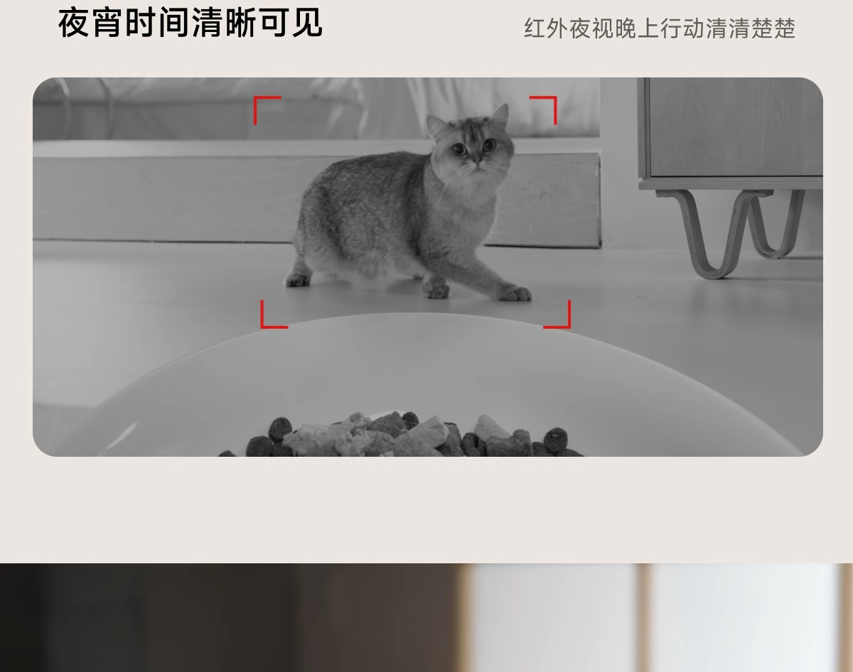 Кормушка с дозатором для кошек и собак meoof觅凹蛋卷自动喂食器猫咪狗狗定时定量自助喂食器摄像头可视