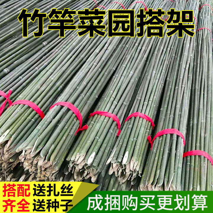 Bamboo pole Vegetable garden grape rack Climbing vine rack Bamboo fence Fence plants bamboo rod thickened vegetable rod Chess rod